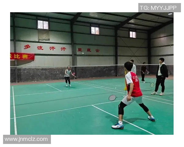 成都羽毛球队状态分析与发展展望聚焦羽毛球运动的未来与挑战